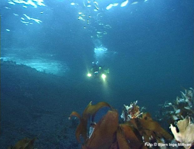 Tilbake / Back / Zurûck